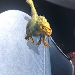 Meet your Posher, John